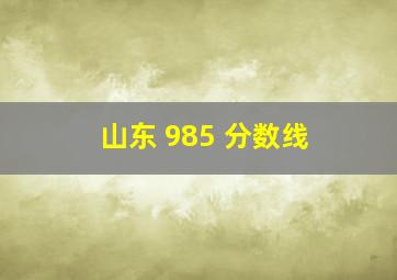 山东 985 分数线